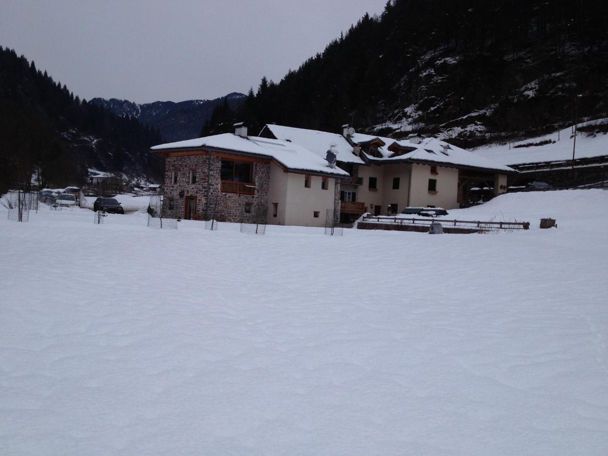 Hotel Maso Toneto Castello-Molina di Fiemme Esterno foto