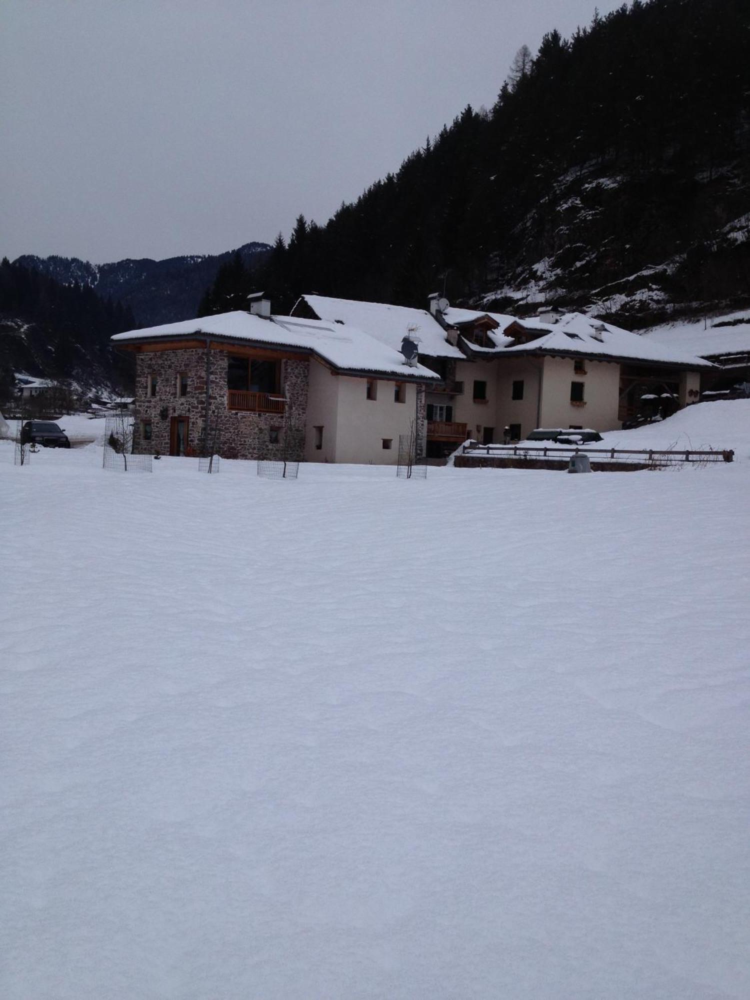 Hotel Maso Toneto Castello-Molina di Fiemme Esterno foto